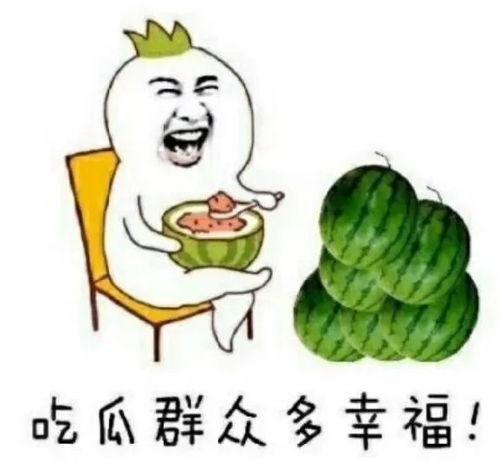 娱乐内吃瓜
